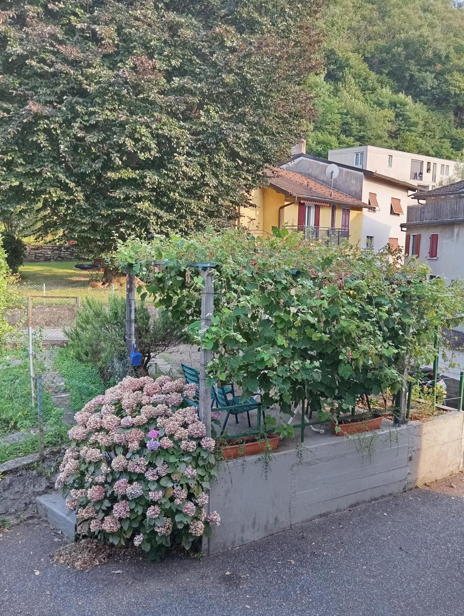 Minicasa Villa Bellinzona Exterior foto